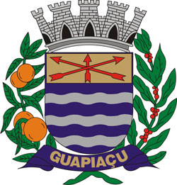 Logo da entidade Prefeitura Municipal de Guapiaçu