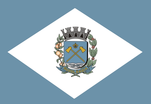 Logo da entidade CÂMARA MUNICIPAL DE GUZONLÃNDIA