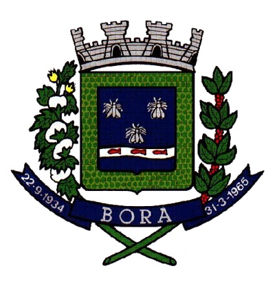 Logo da entidade PREFEITURA MUNICIPAL DE BORÁ