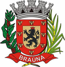 Logo da entidade PREFEITURA MUNICIPAL DE BRAÚNA