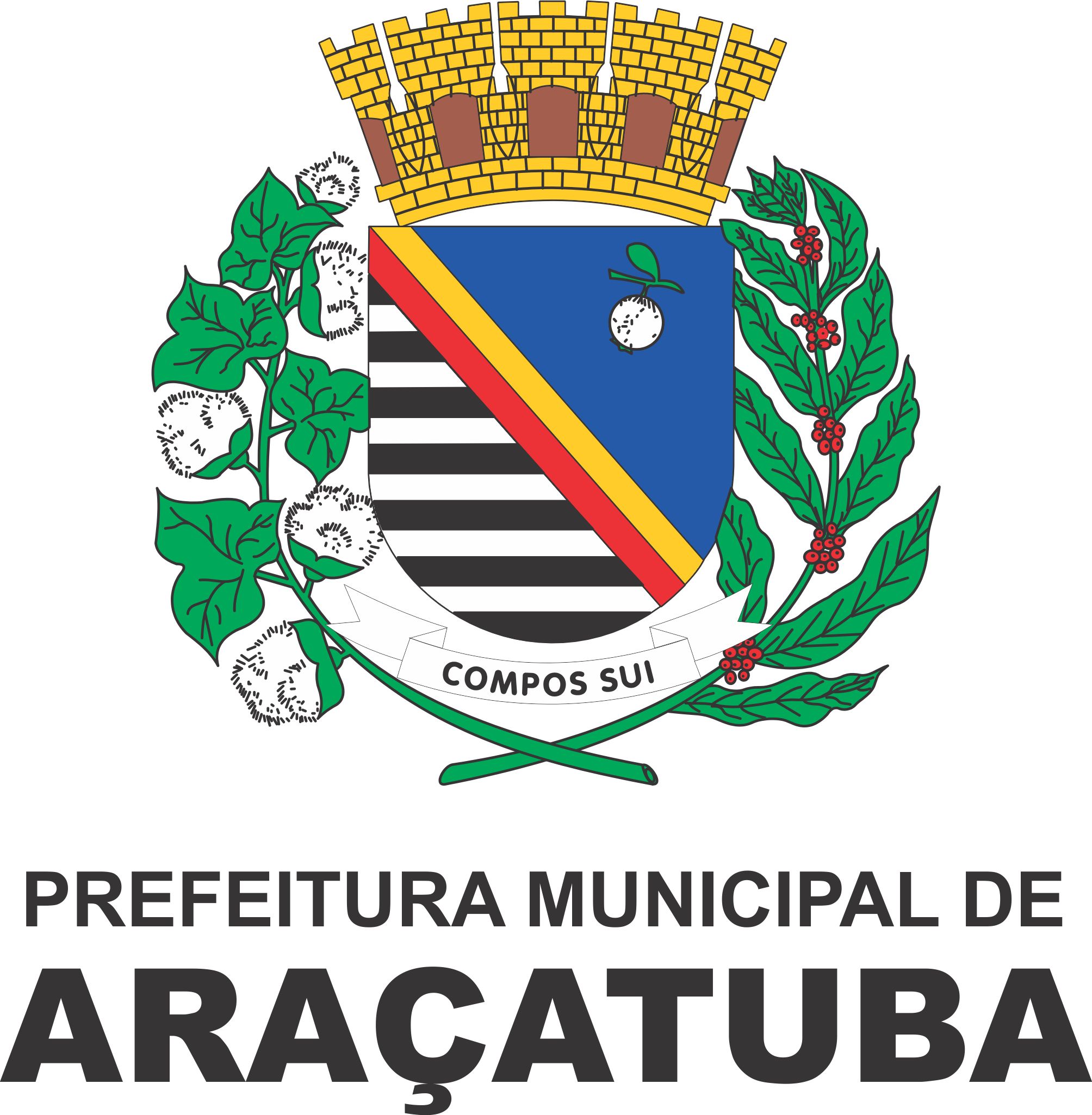 Logo da entidade Prefeitura Municipal de Araçatuba