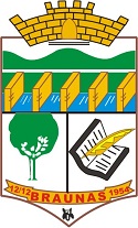 Logo da entidade Prefeitura Municipal de Braúnas